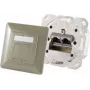 Sieninis lizdas 2 × RJ-45 ShiverPeaks 74280-GR — Cat6a, 500 MHz, metalinis korpusas, pilkas/sidabrinis