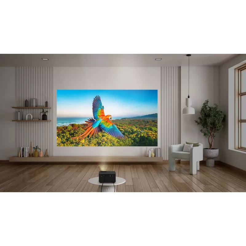 Optoma Photon Life PK32 standartinio fokusavimo projektorius 1100 ANSI liumenų DLP UHD 4K (3840x2160) 3D juodas