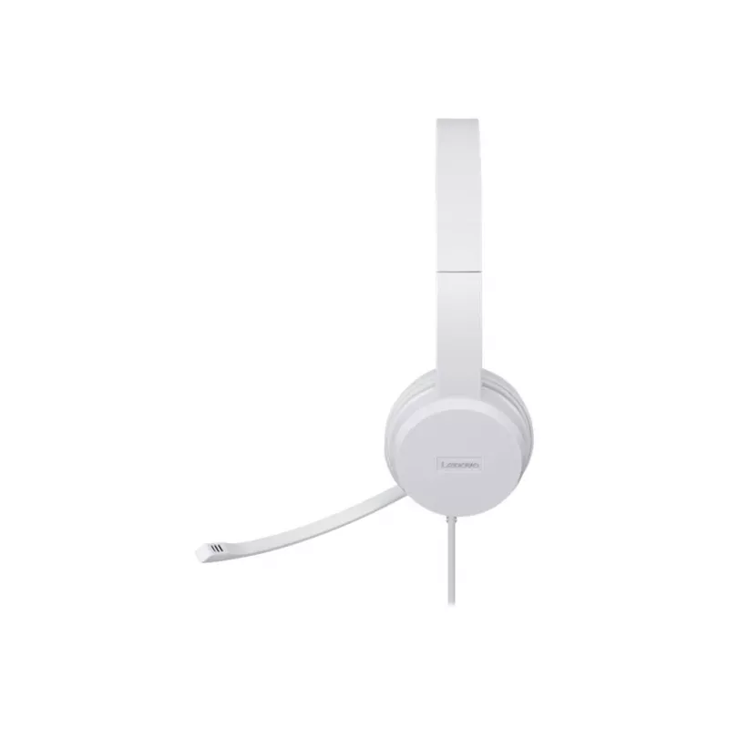 Lenovo GXD1E71385 ausinės / headset laidinės Skambučiai/Muzika USB Type-A Pilka