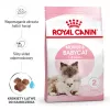 Sausas kačių ėdalas Royal Canin Mother & Babycat 2 kg – vištiena, nėščioms, žindančioms katėms ir kačiukams