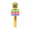 Manta MIC20-GL Gold karaoke mikrofonas su garsiakalbiu