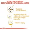 Sausas šunų ėdalas Royal Canin Chihuahua Adult 1,5 kg – Vištiena, 28% baltymų, mažoms ir ypač mažoms veislėms