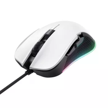 EURA IP GATEWAY ACA-20C9, skirtas TT Lock programėle pagrįstiems įrenginiams