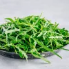 Sėklos ant juostelės – Apte Rukola (Eruca sativa) 6 m auginimui namuose ir sode