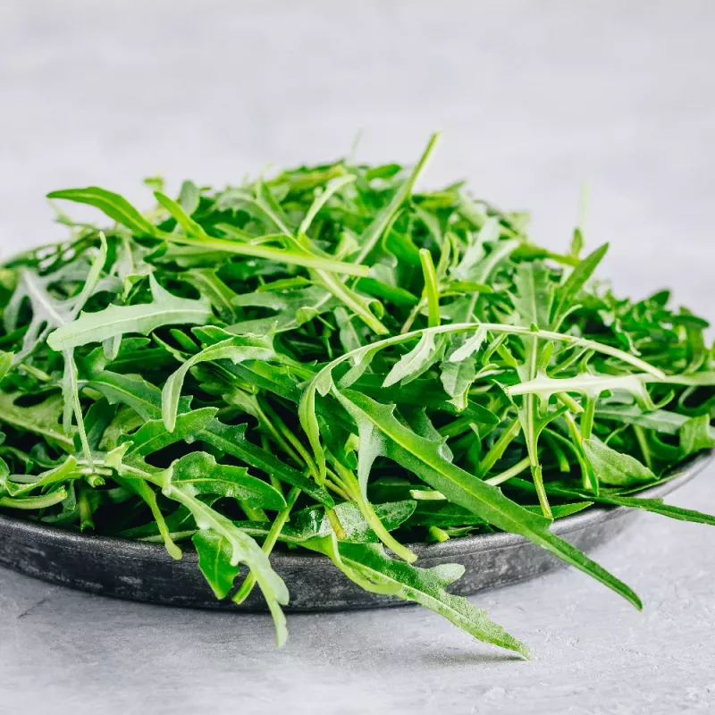 Sėklos ant juostelės – Apte Rukola (Eruca sativa) 6 m auginimui namuose ir sode