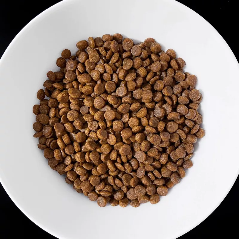 VET RESPONSE Gastrointestinal – sausas kačių ėdalas – 1,6 kg