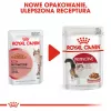 Šlapias kačių ėdalas Royal Canin Instinctive 12 x 85 g – vištiena, suaugusioms katėms, šlapimo takų sveikatai