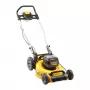 Stumiamoji vejapjovė DeWALT DCMW564P2-QW