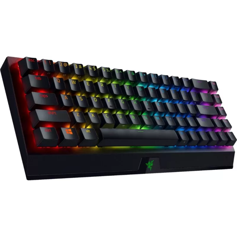 Mechaninė klaviatūra Razer BlackWidow V3 Mini
