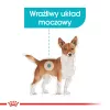 Royal Canin Mini Urinary Care sausas ėdalas šunims, 1 kg