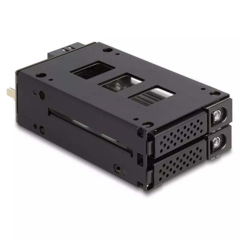 Slim Bay Wechselrahmen für 2 x 2.5? U.2 NVMe SSD mit 5.25? Rahmen
