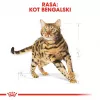 Sausas kačių ėdalas Royal Canin Bengal Adult 2 kg – paukštiena, 40% baltymų, 18% riebalų, virškinimo ir odos priežiūra