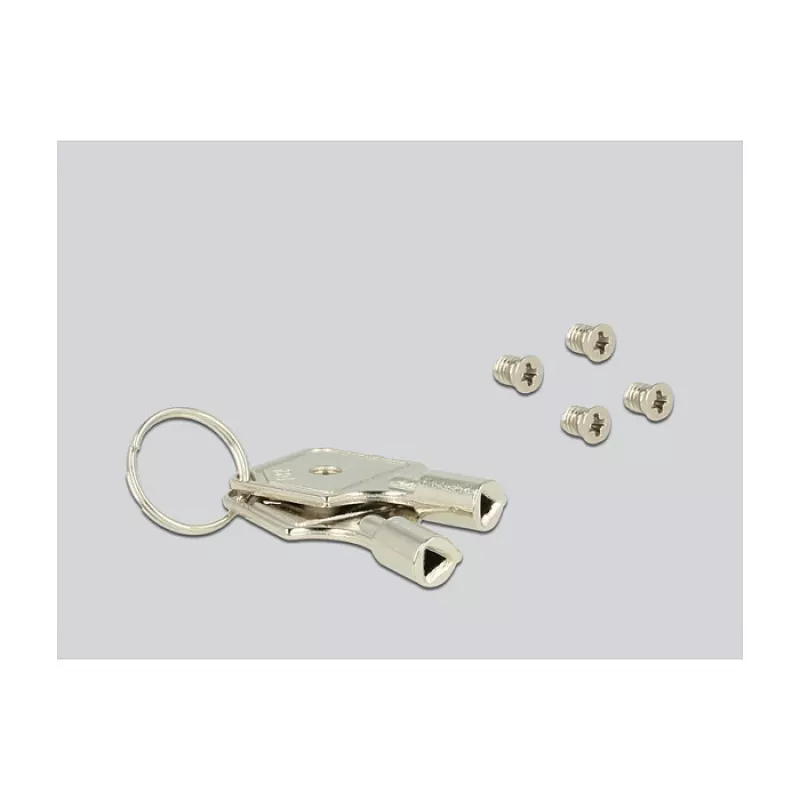 Tvirtinimo rinkinys DeLOCK 47229