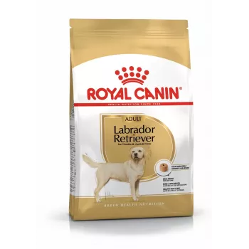 Sausas šunų ėdalas Royal Canin Labrador Retriever Adult 12 kg – paukštiena, 30% baltymų, 13% riebalų