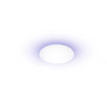 Yeelight Light išmanusis lubinis šviestuvas C2201C235