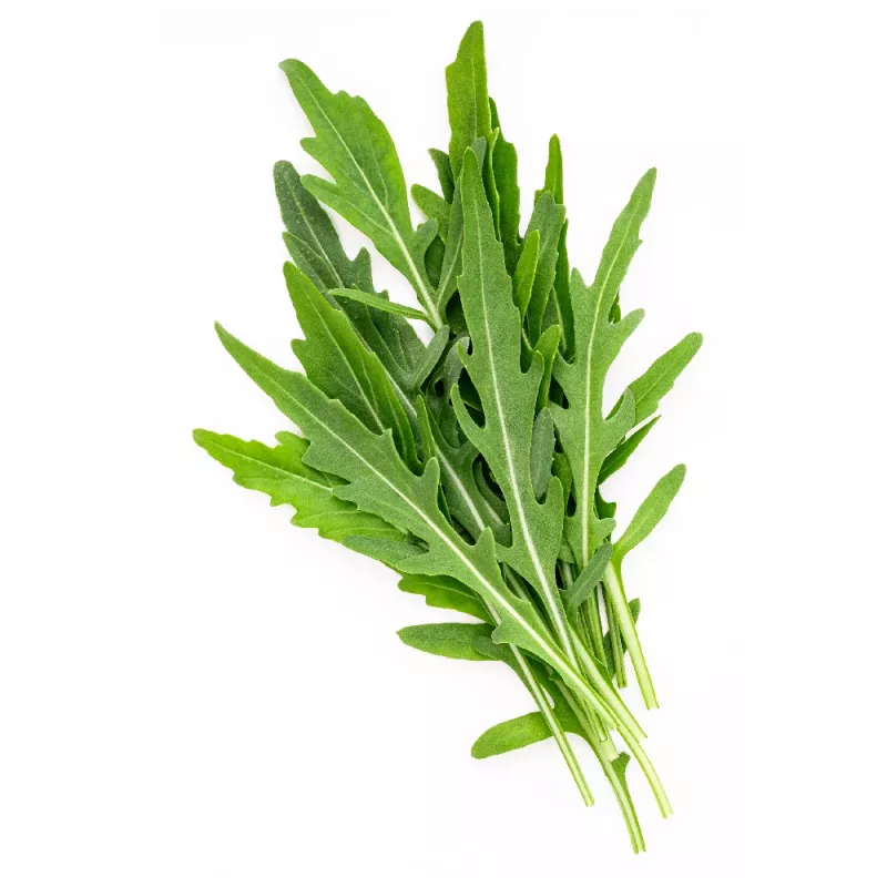 Sėklos ant juostelės – Apte Rukola (Eruca sativa) 6 m auginimui namuose ir sode