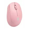 NATEC STORK pelė Home Ambidextrous RF Wireless + USB-A optinė 1600 DPI