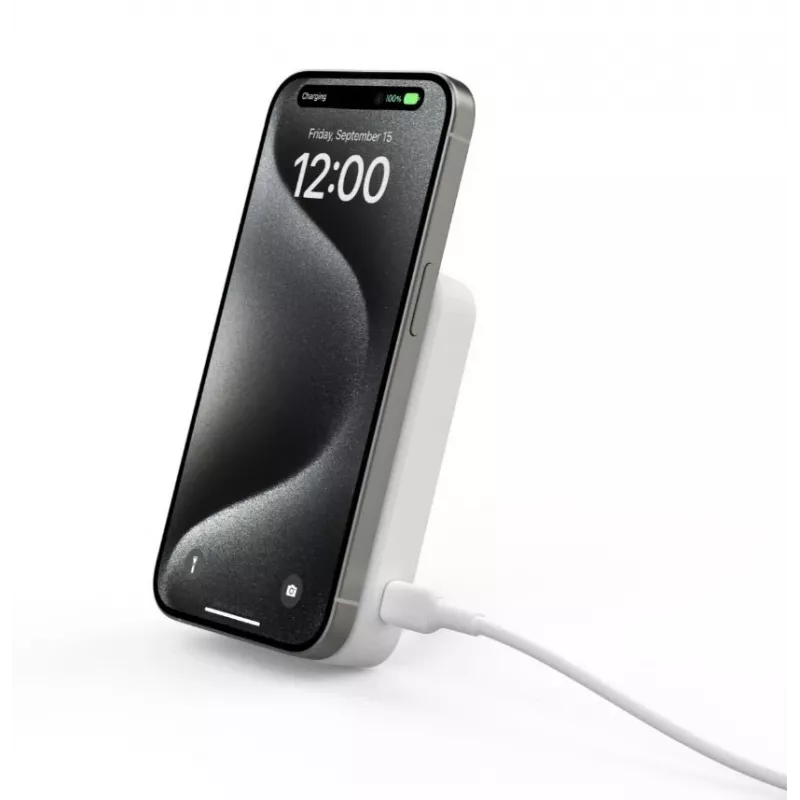 Nešiojamas įkroviklis Belkin BoostCharge Pro 15W