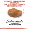 Sausas kačių ėdalas Royal Canin British Shorthair Adult 10 kg – paukštiena, baltymai 34%, riebalai 19%