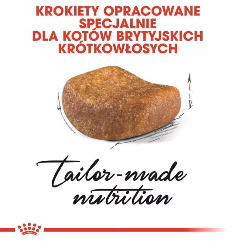 Sausas kačių ėdalas Royal Canin British Shorthair Adult 10 kg – paukštiena, baltymai 34%, riebalai 19%