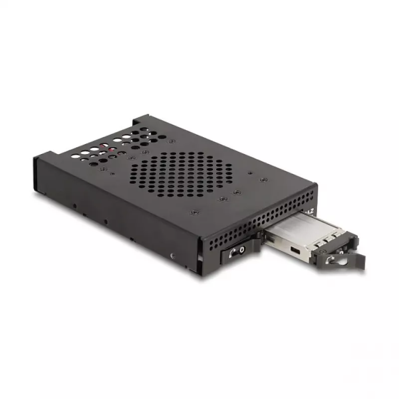 DeLOCK 47117 3,5 colio mobilus krepšelis 2 M.2 NVMe SSD