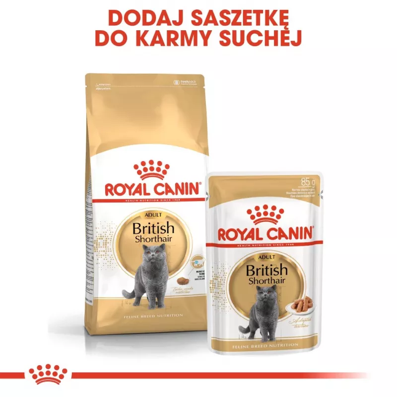 Sausas kačių ėdalas Royal Canin British Shorthair Adult 10 kg – paukštiena, baltymai 34%, riebalai 19%