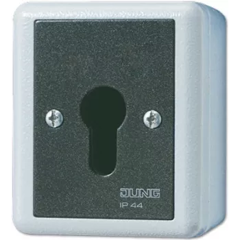 Jungiklis su raktu JUNG 806.28 G — 2P, laidinis, 250 V AC, 16 A, juodas/baltas
