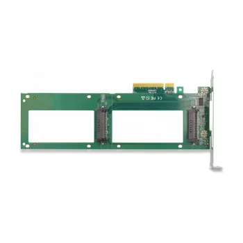 DeLOCK PCI Express 4.0 x8 kortelė su 2 vidiniais U.2 NVMe SFF-8639 prievadais (bifurkacija)