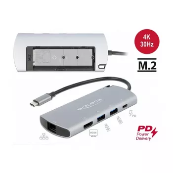 DeLOCK USB Type-C doko stotelė su M.2 lizdu