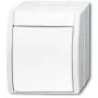 BUSCH-JAEGER Wipptaster/Schliesser 2621W-54 ocean alpinweiss 2621W-54 (1484-0-0380)