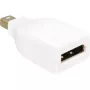 Adapteris DisplayPort Mini M / DP F Delock baltas