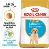 ROYAL CANIN SHN Breed Labrador Junior sausas šunų ėdalas - 12 kg