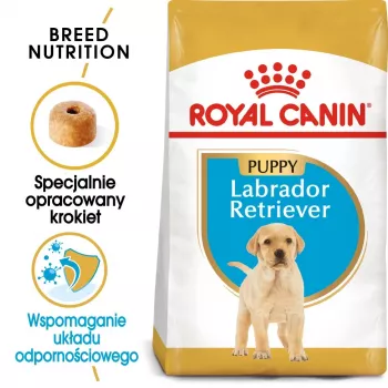 ROYAL CANIN SHN Breed Labrador Junior sausas šunų ėdalas - 12 kg