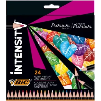 BIC Intensity spalvinimo pieštukai 24 spalvos 967823