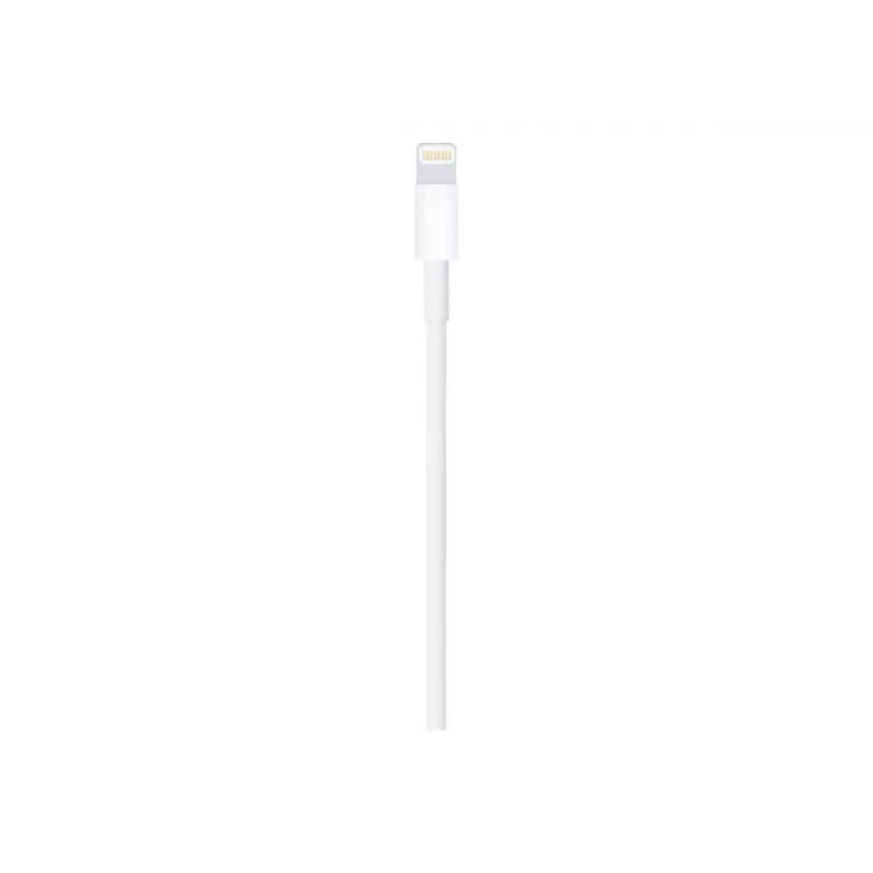 Apple Lightning į USB laidas 1m MUQW3ZM/A