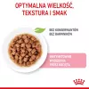 Šlapias kačių ėdalas Royal Canin Sterilised Gravy, 12 x 85 g pakeliai – vištiena, sterilizuotiems kačiukams