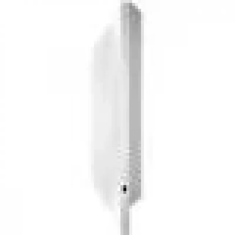 Grandstream Networks GWN7660 belaidis prieigos taškas 1770 Mbit/s Baltas Power over Ethernet (PoE)
