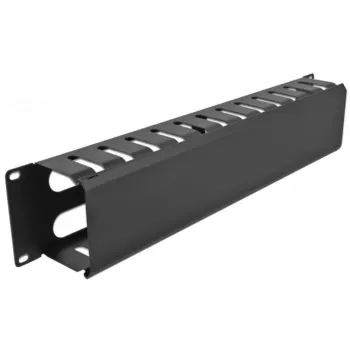 DeLOCK - Kabelführungsplatte für Schaltschrank - Schwarz - 2U - 48,3 cm (19) (66553)