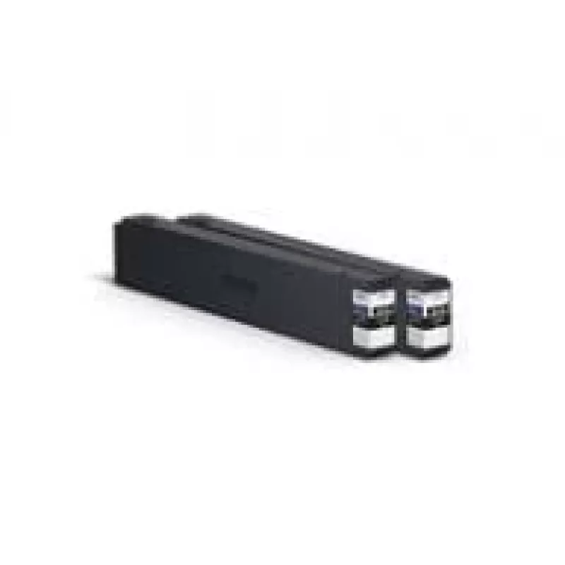 Originalus Epson T04Q100 juodas rašalo kasetė (didelės talpos XL)