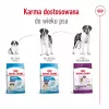 ROYAL CANIN Giant Adult – sausas šunų ėdalas – 15 kg
