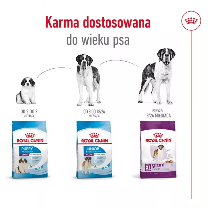 ROYAL CANIN Giant Adult – sausas šunų ėdalas – 15 kg