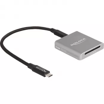 DeLOCK 91006 SD kortelių skaitytuvas pilkas USB Type-C 10000 Mbit/s
