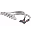 USB 2.0 lizdo laikiklio kabelis 2xIDC (5 kontaktų) / 4xUSB A (vyriškas/moteriškas) pilkas 0,25 m