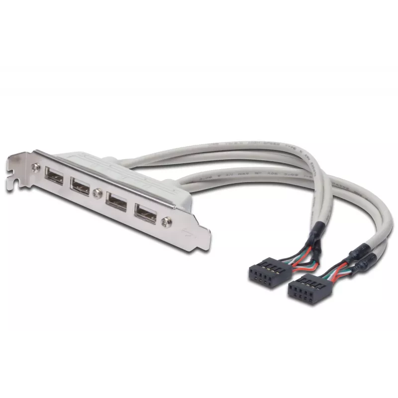 USB 2.0 lizdo laikiklio kabelis 2xIDC (5 kontaktų) / 4xUSB A (vyriškas/moteriškas) pilkas 0,25 m