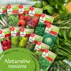 TORAF Spring Flavors sėklų rinkinys – 12 pakelių