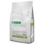 Sausas šunų ėdalas Nature’s Protection Superior Care White Dogs Grain Free Junior Small 10 kg – Žuvis, Baltymai 26%, Riebalai 15%