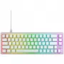 CHERRY K5V2 kompaktiška žaidimų klaviatūra USB QWERTY angliškas išdėstymas balta 67 klavišai RGB LED