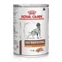 ROYAL CANIN Veterinary Diet Canine Gastrointestinal Low Fat – šlapias šunų maistas – 420g