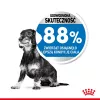 Royal Canin CCN MINI LIGHT WEIGHT CARE - sausas ėdalas suaugusiems šunims - 3 kg