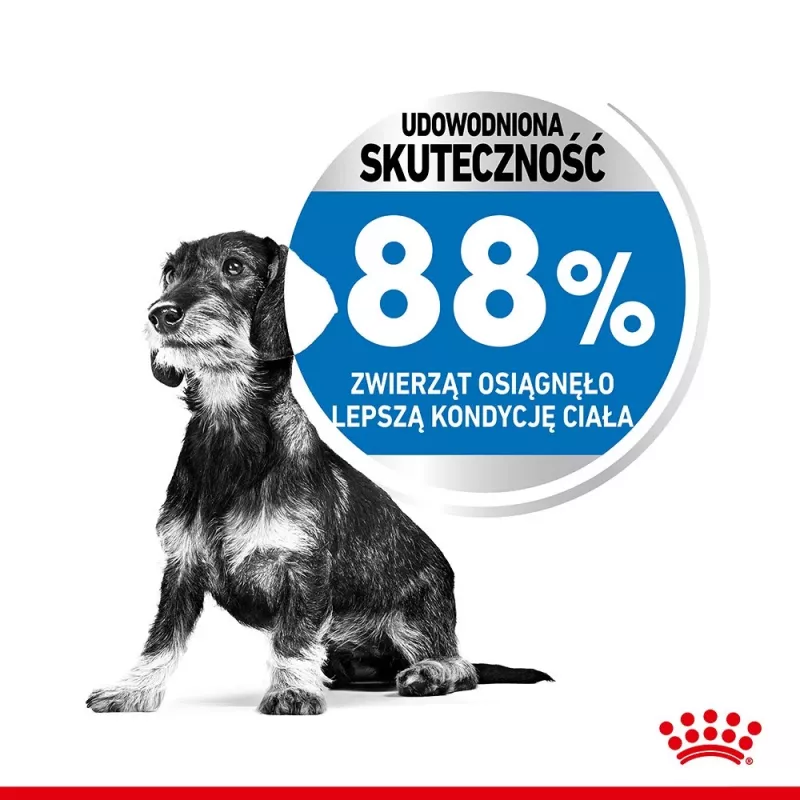 Royal Canin CCN MINI LIGHT WEIGHT CARE - sausas ėdalas suaugusiems šunims - 3 kg